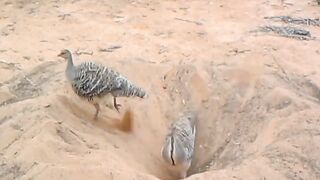 Awesome video ????
