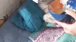 So cute!