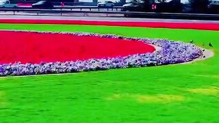 #VIRAL