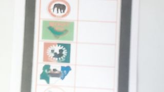 Election