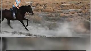NO SUGGESTIONS FROM THE HORSE II Story in English with pictures II joke in English