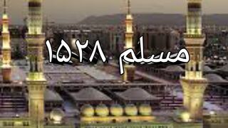 Rasool Allah (pbuh) ko pathar ka salaam krna Muslim sharif