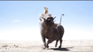Timon-And-Pumba-Best-Funny-Clips-in-Hind_23.