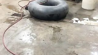 Funny Video