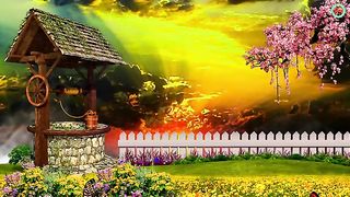 beautiful home and flower