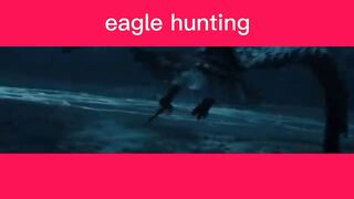 Eagle kese shikaar krta hai