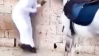 Amazing funny clips of 2023  #sk