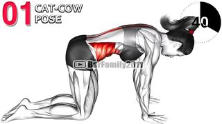 Morning exercises