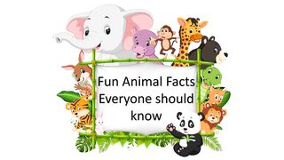 informative fun fact about ANIMALS