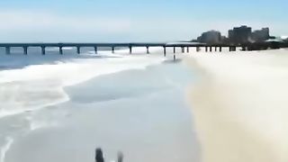 Flying turtle