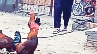 murga#fight#with#molvi#in#full#actio# hahhahahhaha#digtalstudio