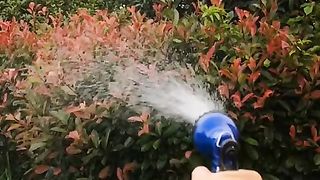 magic hose 100 ft