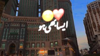 Ammen
