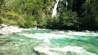 Relaxing River - Ultra HD Nature Video - Water Stream & Birdsong Sounds - Sleep-Study-Meditate