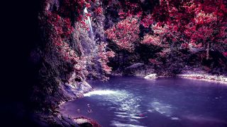 Feel nature view