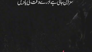 DILL-E-UMEED SONG#PLZZZ FOLLOW AND COMMENT