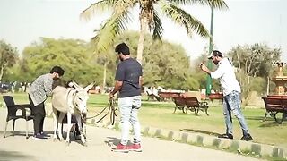 Pakistan funny movie