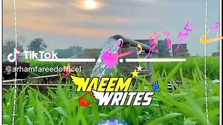 Saraiki song