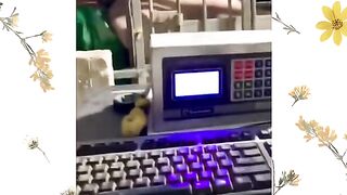funny compilation best