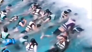funny video compilation the best