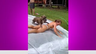 GAGS COMPILATION