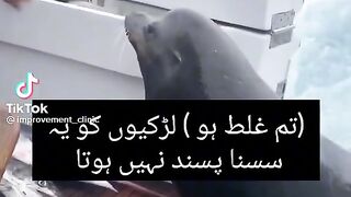 Tik tok vedio