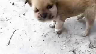 Tik tok vedio