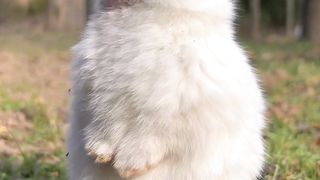 Beautiful nature video