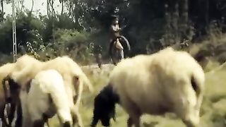 Best video ever