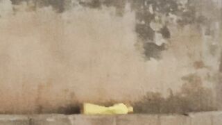 Beati#of matro#