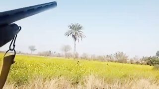 hunting