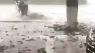 Awesome video must watch this video ????????