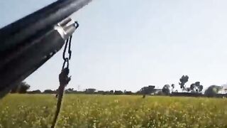 hunting