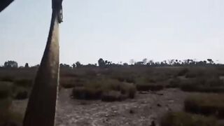 hunting