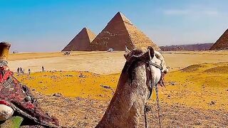 Holy Egypt