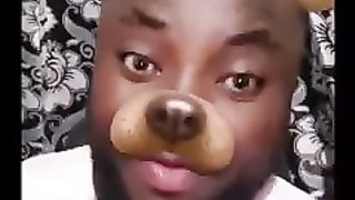 Funny dog