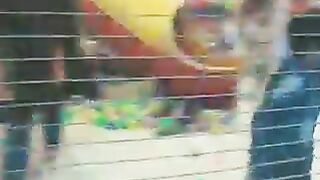 Funny video