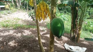 Beauty of Nature