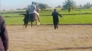 horse and men #horse #horse #horse