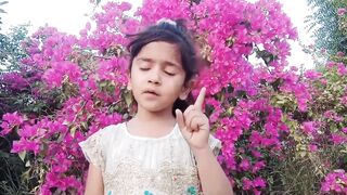 Al Vida Urdu |الوداع اردو | funny jokes