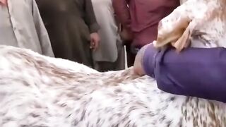 Emoshnail video
