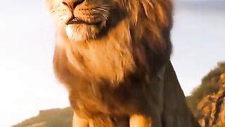 Omg...Angry loin attck