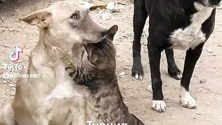 ЗА ЛЮБОВТА НЯМА ГРАНИЦИ