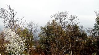Kashmir view paniola Rawalakot azad Kashmir #beautiful of Kashmir #kashmirview #kashmir valley #short #viral