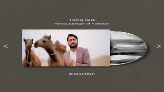 Tiktook video