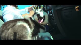 Karam Bajwa - EGO feat. J. Hind  Deep Jandu  Lally Mundi [Official Music Video](480P).