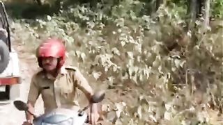 Pig turning