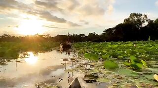 Beautiful moment of nature
