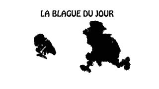 L'intégrale de la blagues du jour saison 2 (ESSAYEZ DE NE PAS RIRE! )
