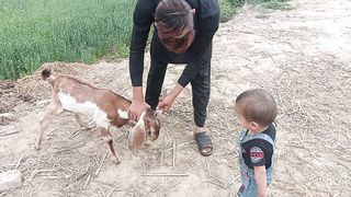 New Video WhatsApp Status Cute Baby